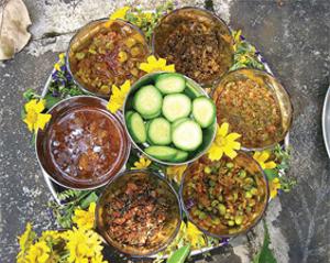 bhimashankar food fest